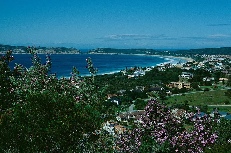 Whale Rock Beach near Knysna