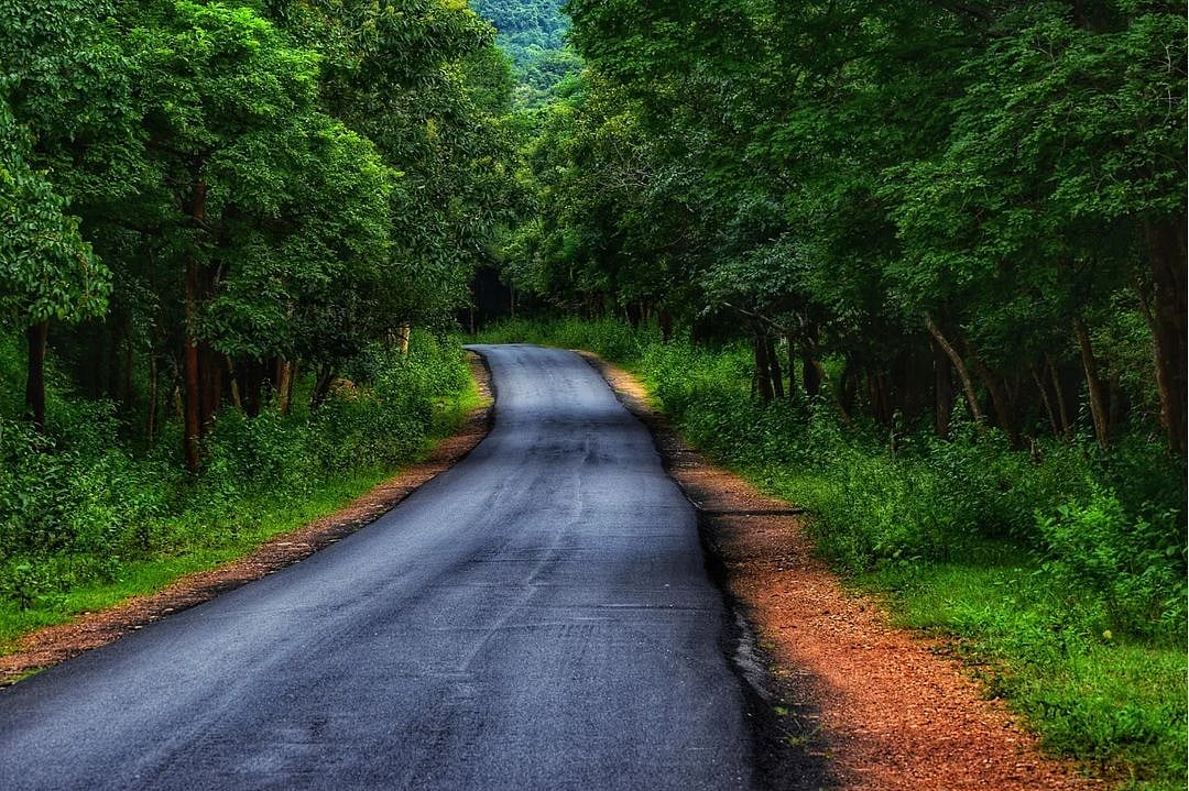 At the beautiful BR Hills