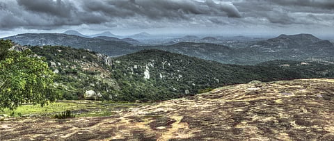 An overcast day at the Horsley Hills
