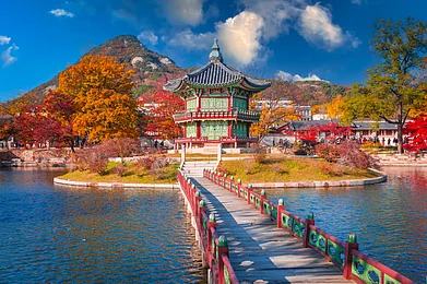 Shutterstock : Gyeongbokgung Palace in autumn