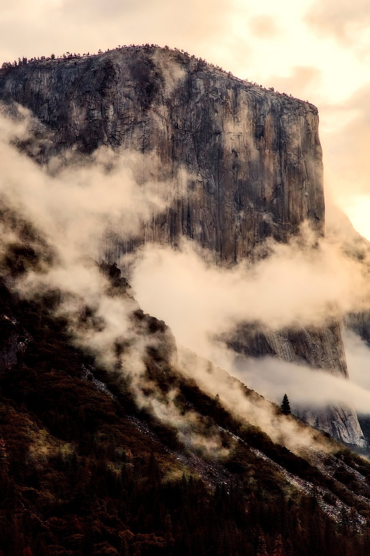 A mesmerising view of Yosemite National Park, California - Pixabay