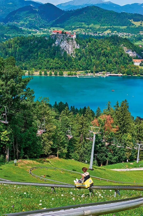 Summer tobogganing on Straža hill