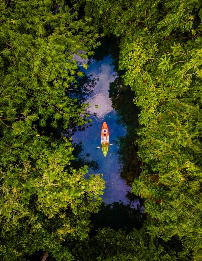 Aerial view of a kayak in the jungle of Krabi, Thailand