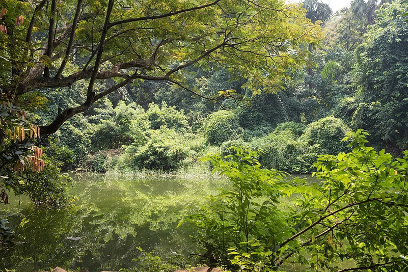 Sanjay Gandhi National Park is a haven among the hustle and bustle of city life