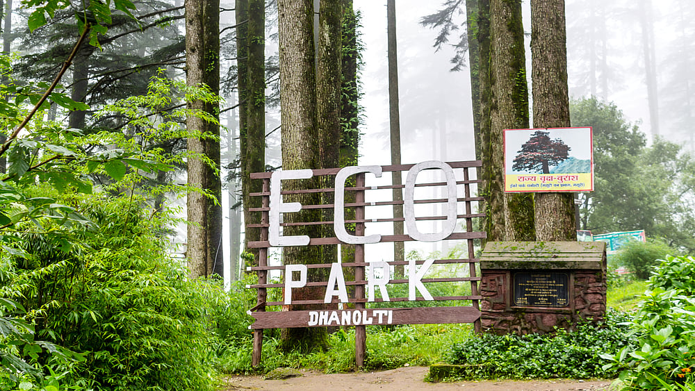The Dhanaulti Eco Park is a famous tourist attraction