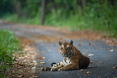 Shutterstock : The development blueprint emphasises sustainability while maintaining adherence to environmental regulations