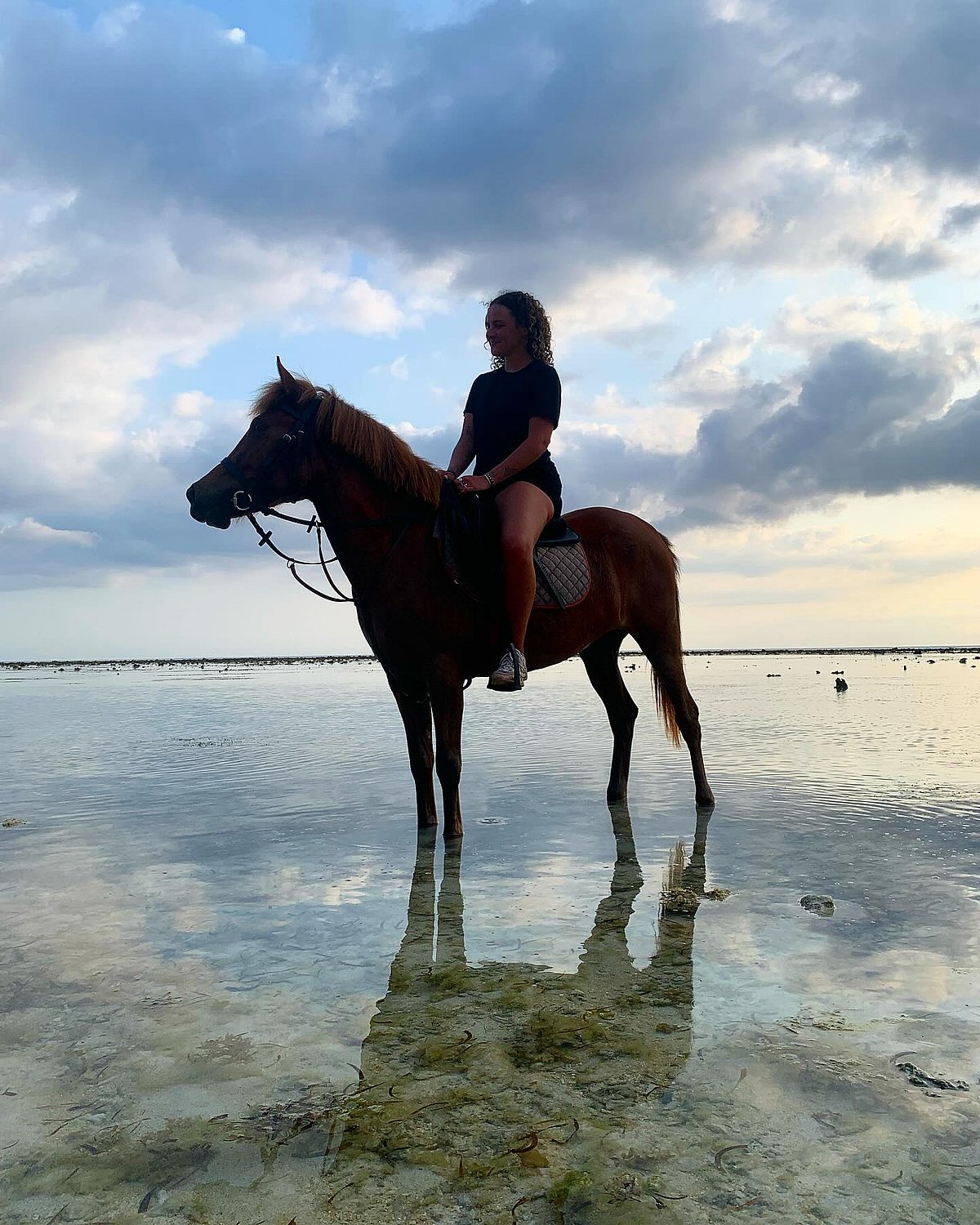 Horse riding on Gili Trawangan