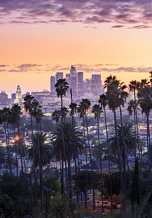 Shutterstock : The Los Angeles skyline during sunset