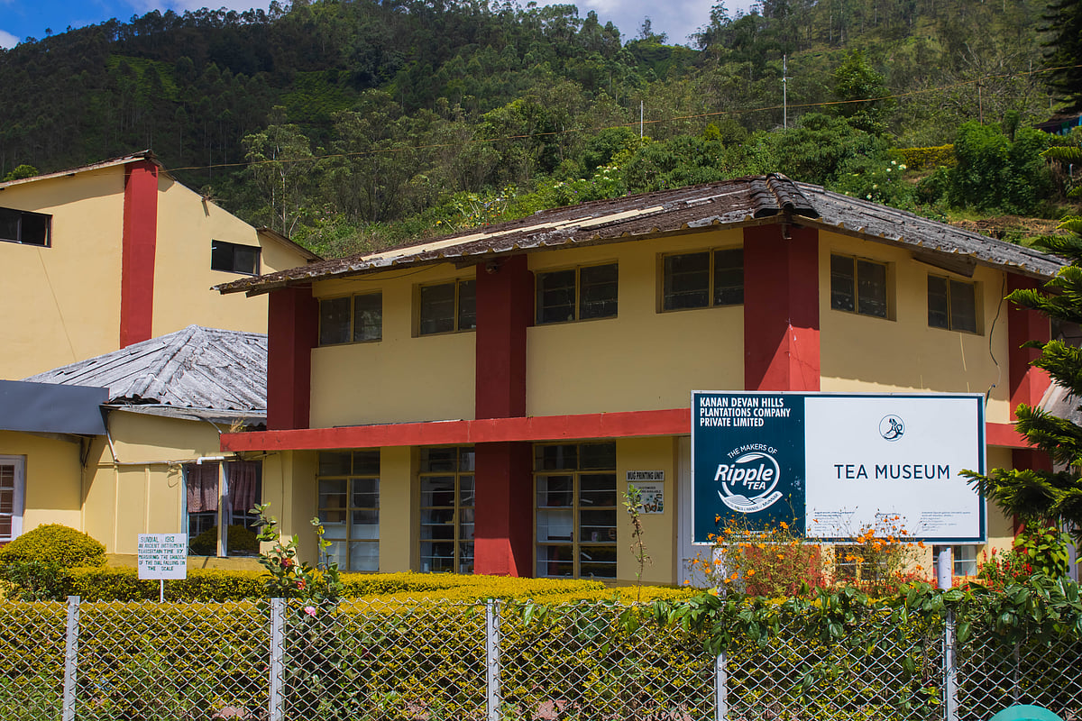 The Tea Museum of Munnar chronicles the journey of tea from its inception to its development into a thriving industry