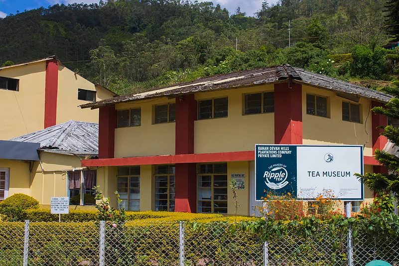 The Tea Museum of Munnar chronicles the journey of tea from its inception to its development into a thriving industry