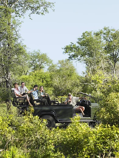 Shutterstock : A group of people on a jungle safari