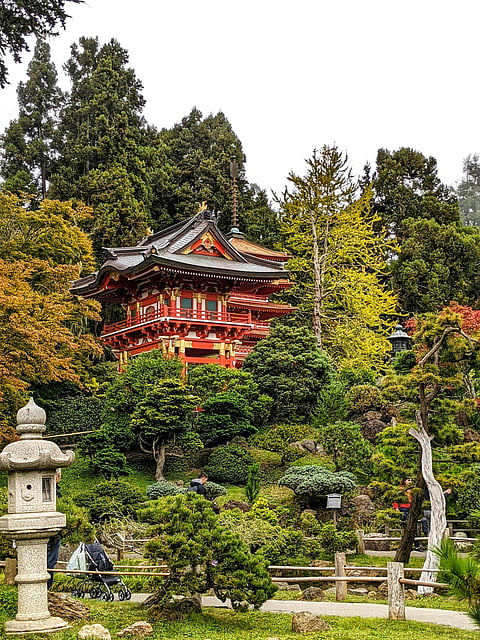 Golden Gate Park
