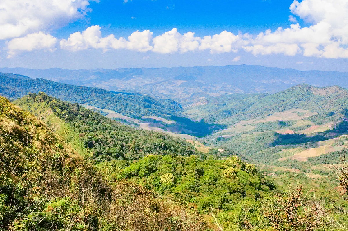 Peak Mountain Chiang Rai