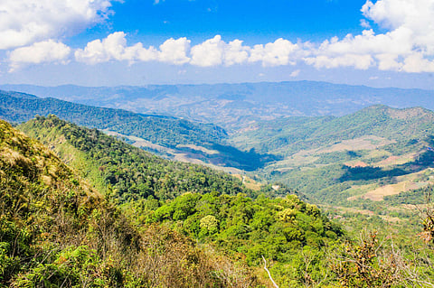 Peak Mountain Chiang Rai