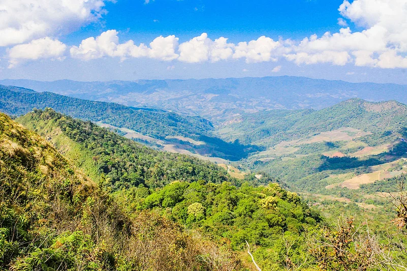 Peak Mountain Chiang Rai