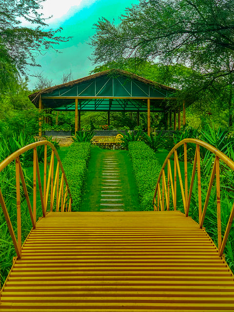 At the Terraced Garden of Chandigarh