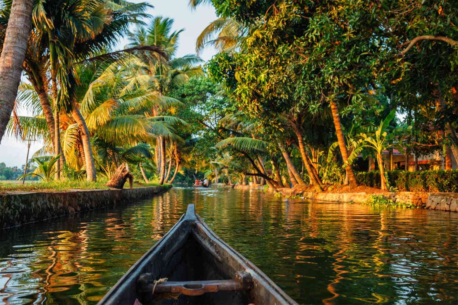 Backwaters in Kerala