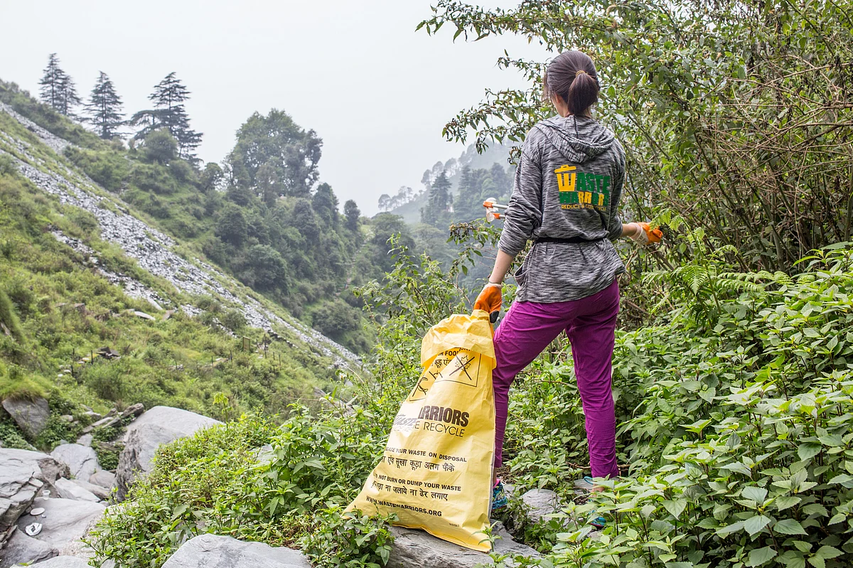 Filip Jedraszak/Shutterstock