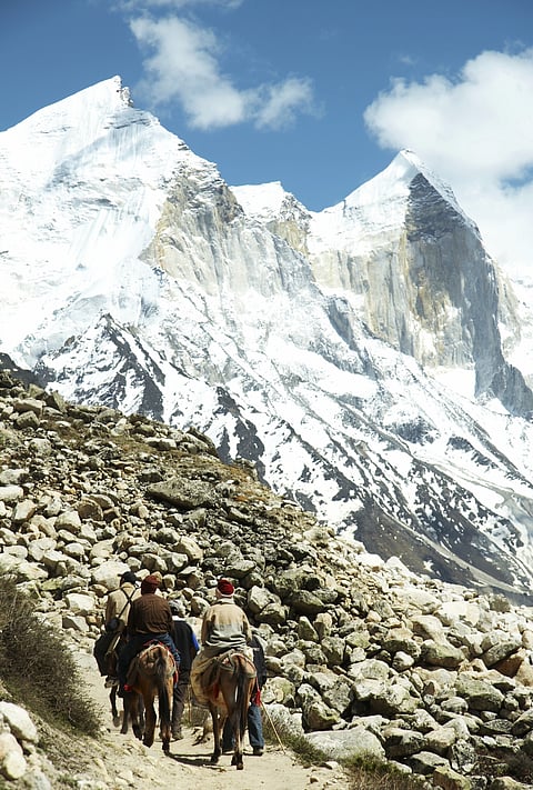 Gangotri National Park