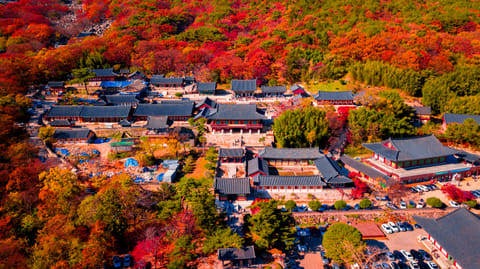 Aerial view of Beomeosa Temple which was built on the slopes of Geumjeongsan Mountain
