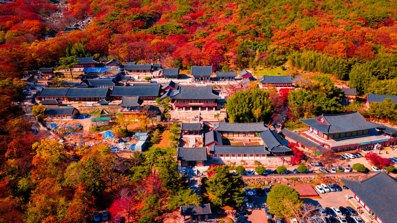 Aerial view of Beomeosa Temple which was built on the slopes of Geumjeongsan Mountain