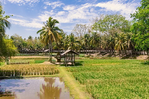 Langkawi (Muzium Laman Padi) in Langkawi, Malaysia