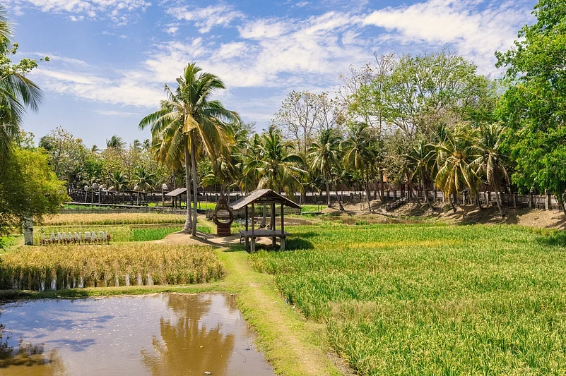 Langkawi (Muzium Laman Padi) in Langkawi, Malaysia
