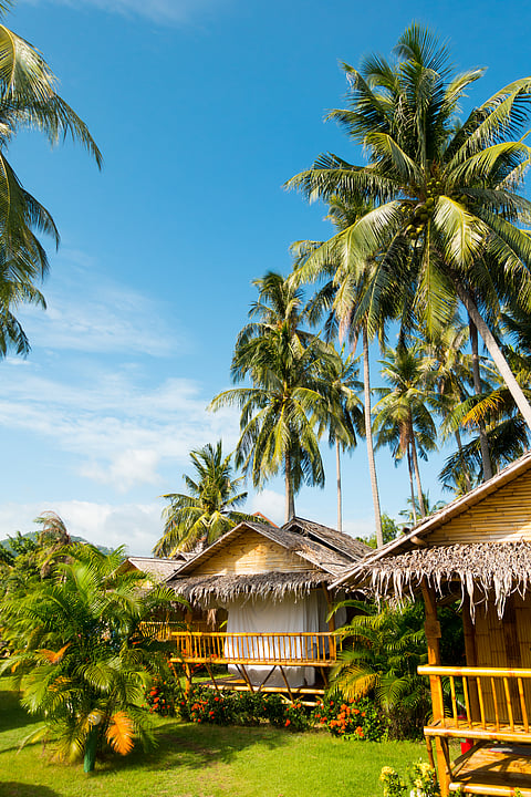 Bamboo bungalows and palm trees near Fisherman's Village, Bophut