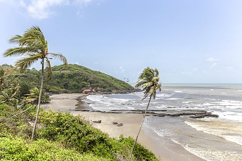 Cavelossim in Goa registered a 68 per cent price drop in hotel stays in 2024 as compared to 2023