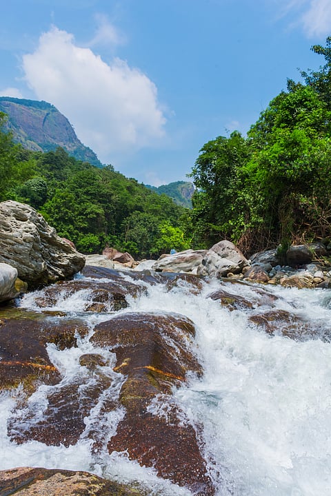 The Kunthipuzha River is a waterway flows through the Silent Valley National Park
