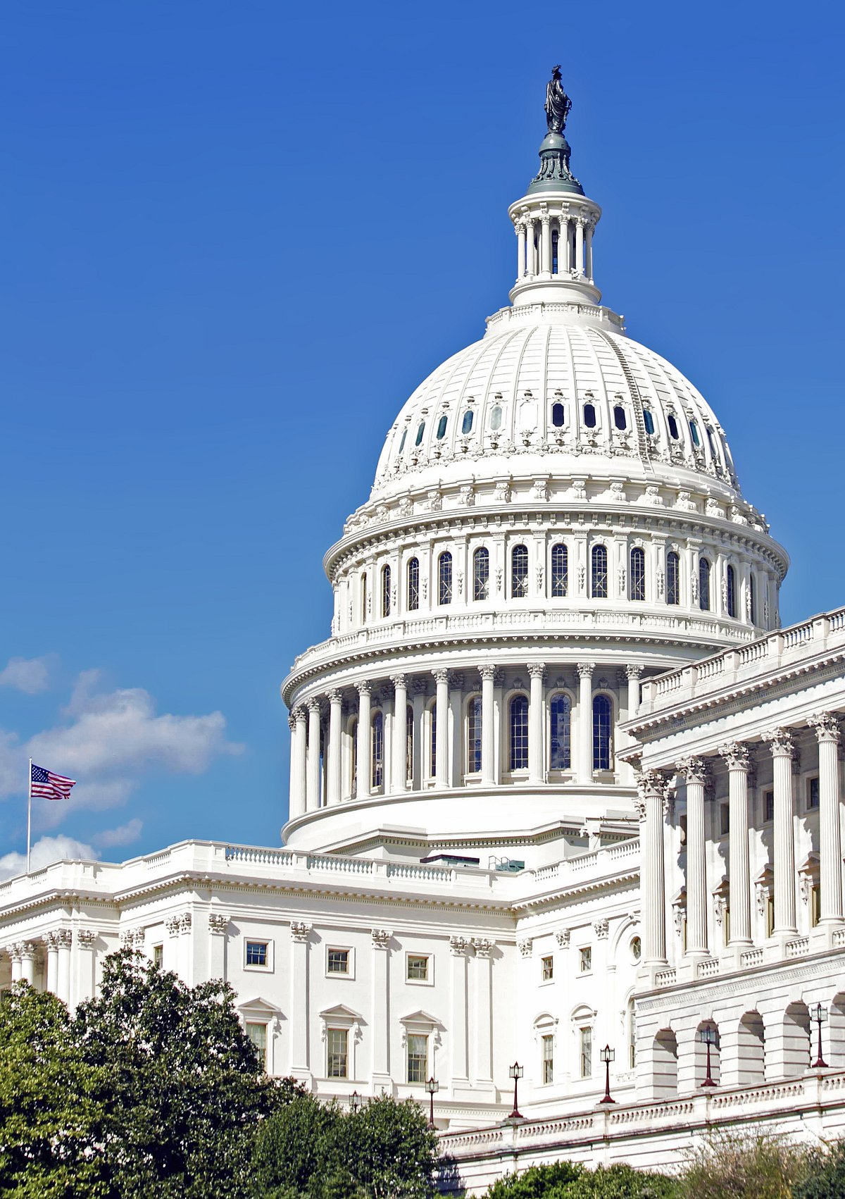 Shutterstock : Washington D.C.