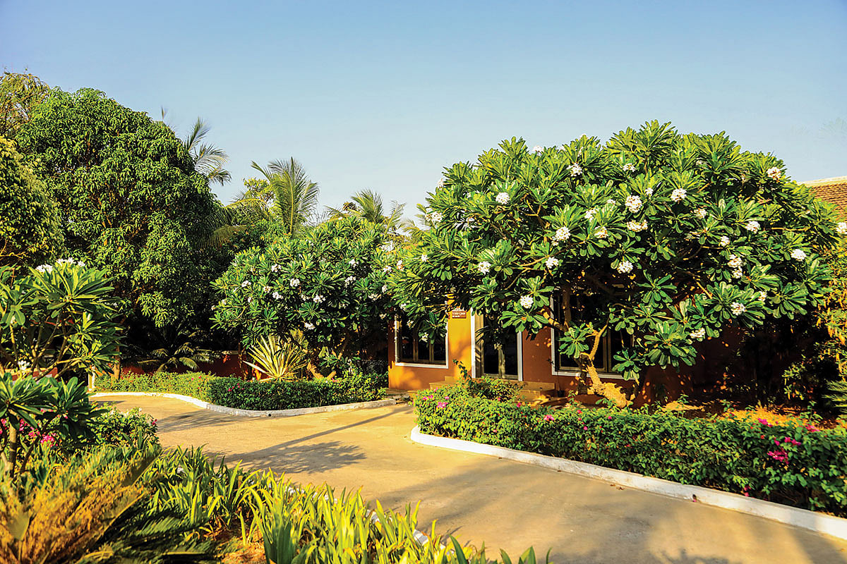 For a relaxed, luxurious stay, consider the Blue Ocean Resort and Spa