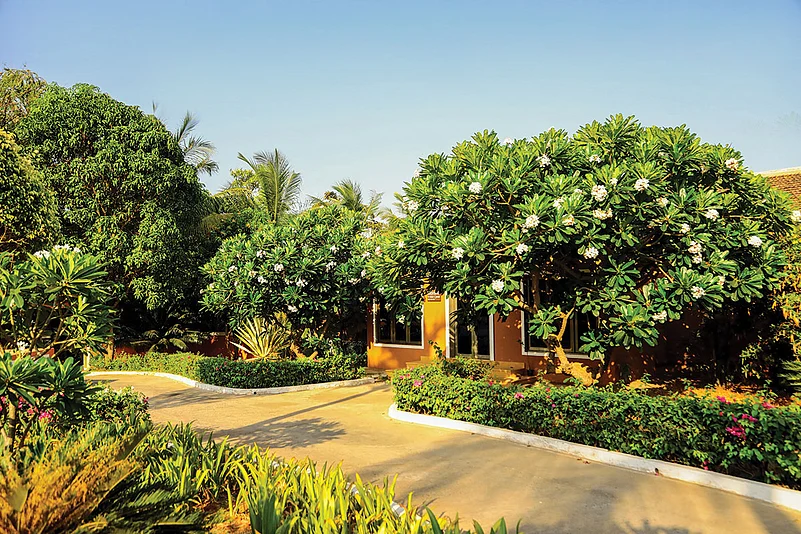 For a relaxed, luxurious stay, consider the Blue Ocean Resort and Spa