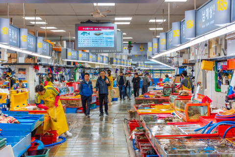 The Jagalchi Market is one of the largest seafood markets in Asia