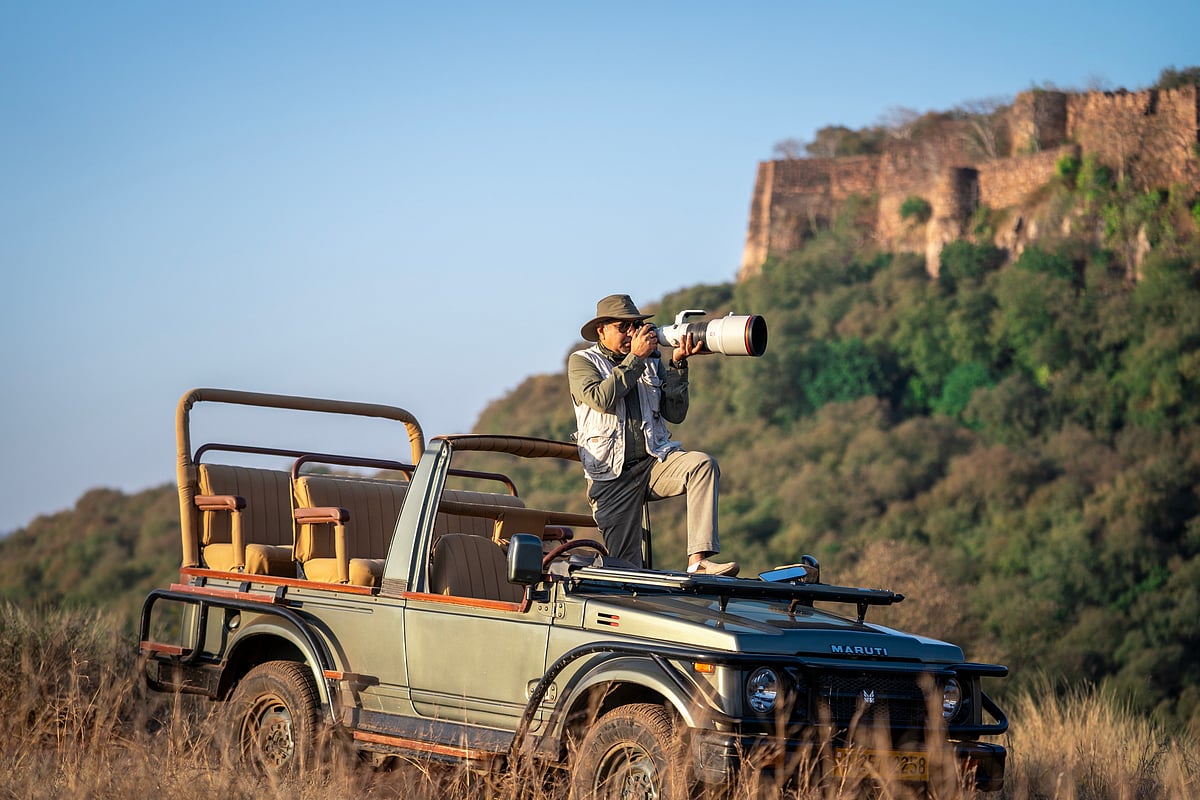 Manish Kalani spent eight years photographing tigresses in Ranthambore National Park - Copyright: Deepam Shewani