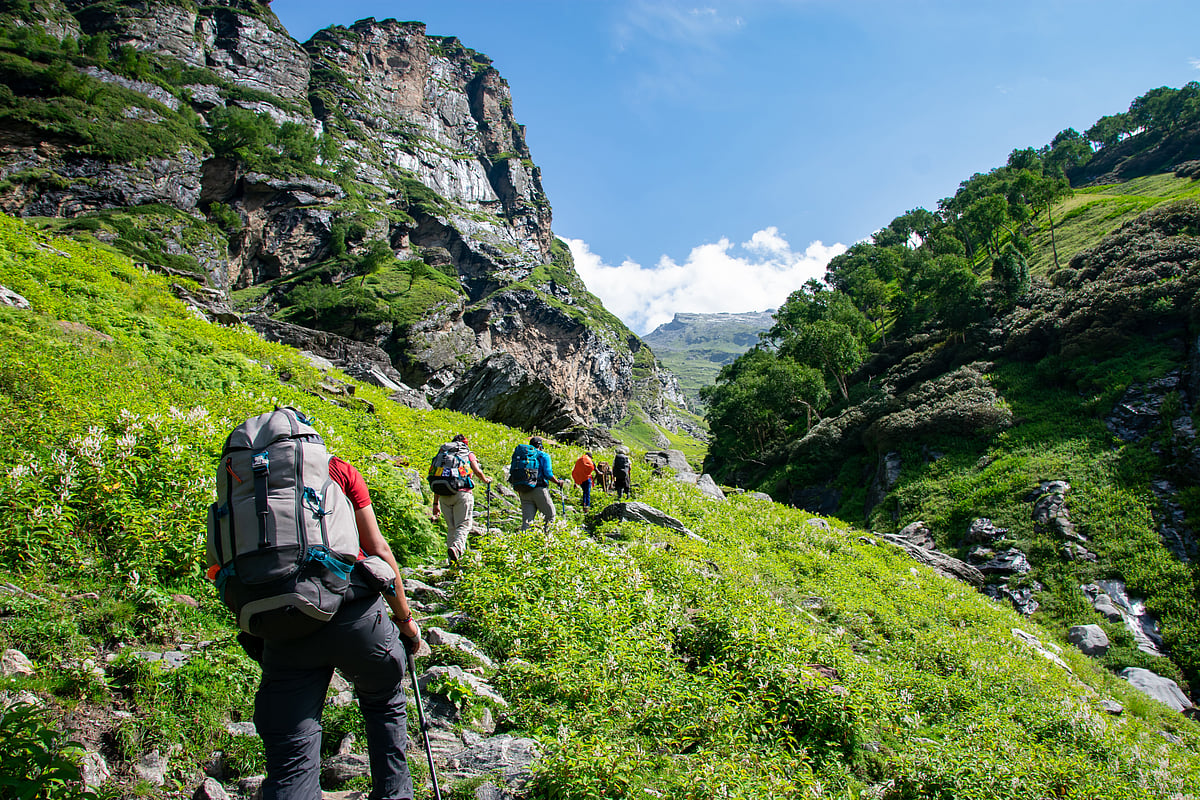 Views along the trek in Manali