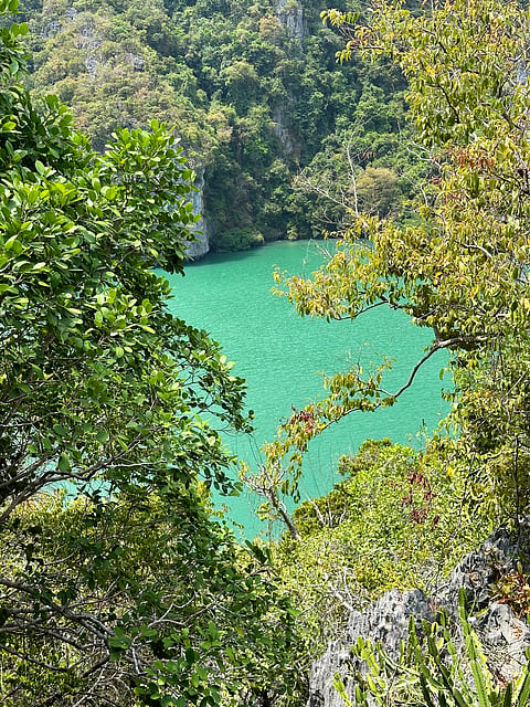 The Emerald Lake (Thale Nai), Koh Mae Ko in Mu Ko Ang Thong National Park