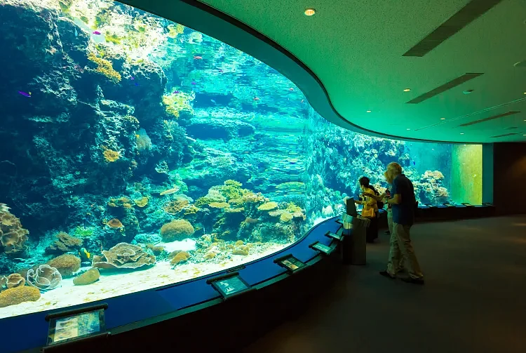 Churaumi Aquarium