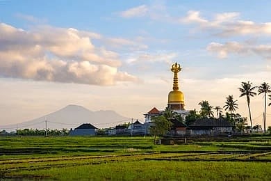 The Rice paddies of Seseh