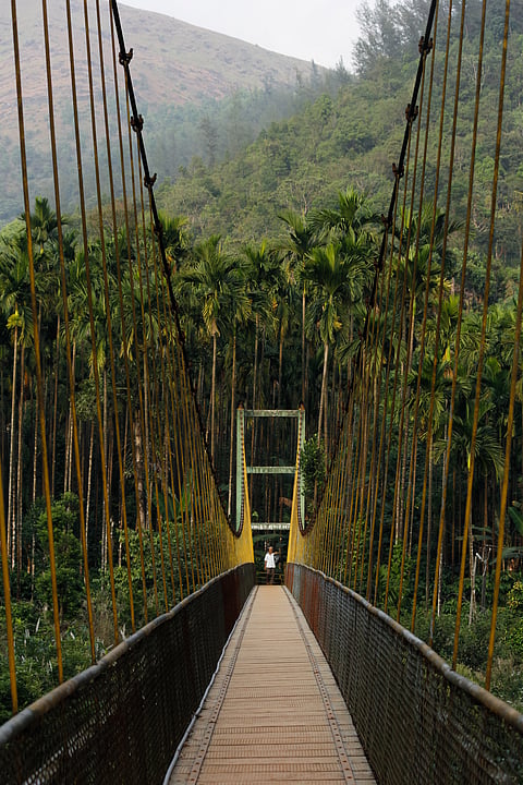 Scenic bridge at the Kudremukh National Park