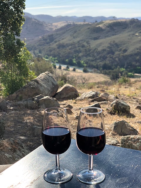 In the midst of a wine tour