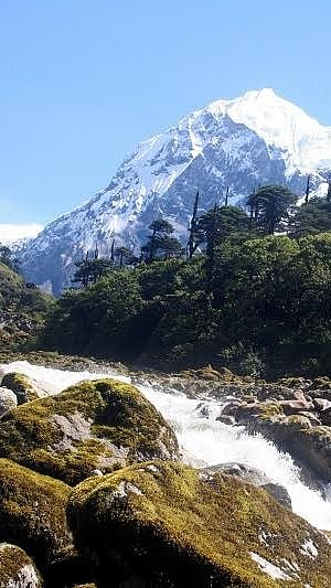 Inside the Khangchendzonga National Park
