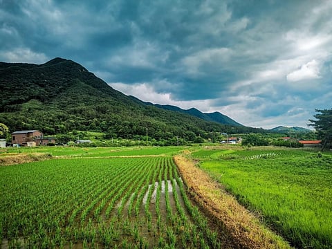 The Korean countryside
