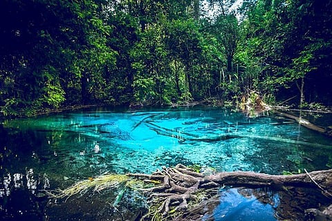 The crystal lagoon of Thung Teao Natural Park