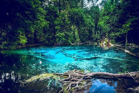 The crystal lagoon of Thung Teao Natural Park