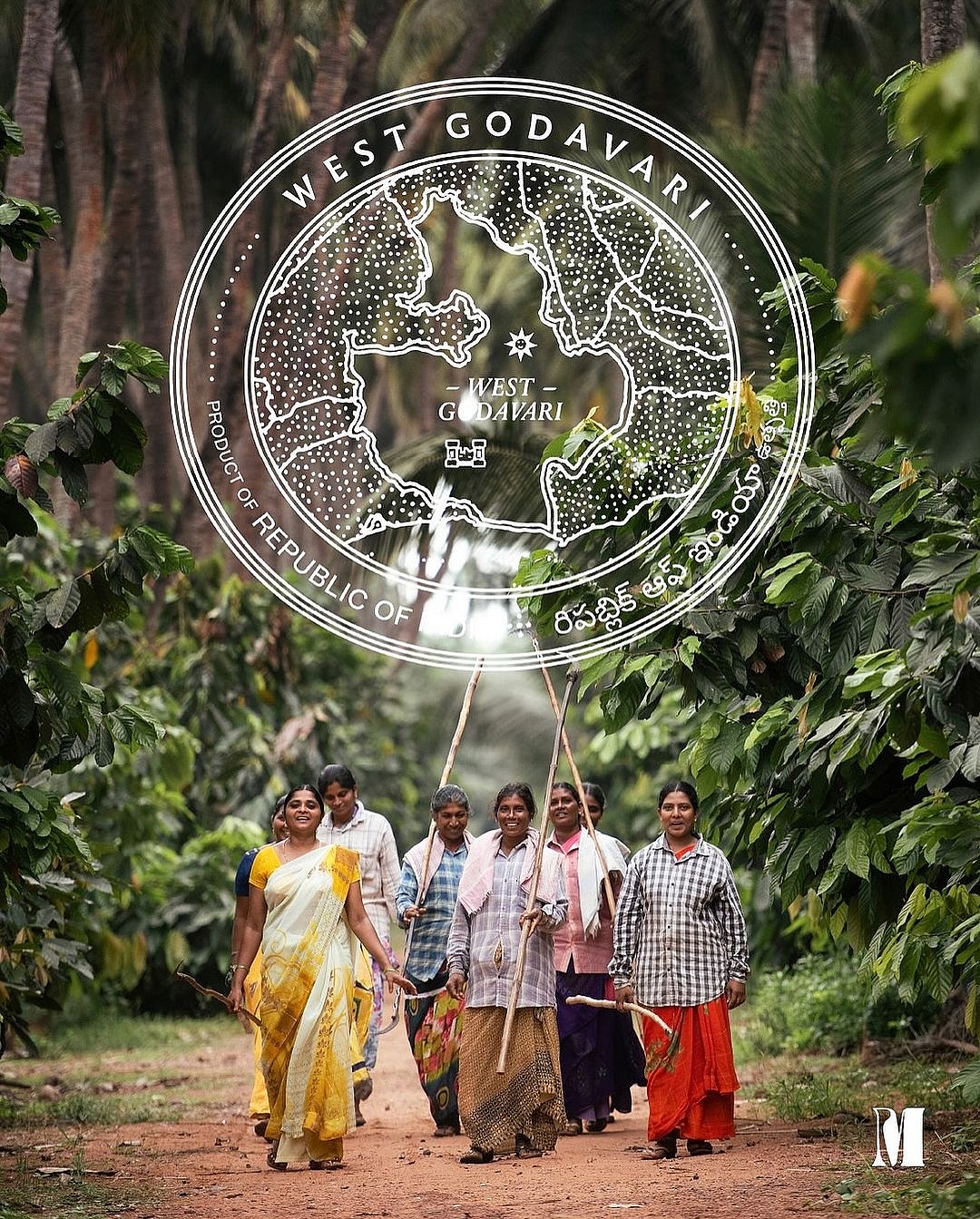 The team at Manam is specifically engaged with a 100+ farmer-member community and their sister-concern, Distinct Origins Cacao Fermentery in West Godavari, Andhra Pradesh
