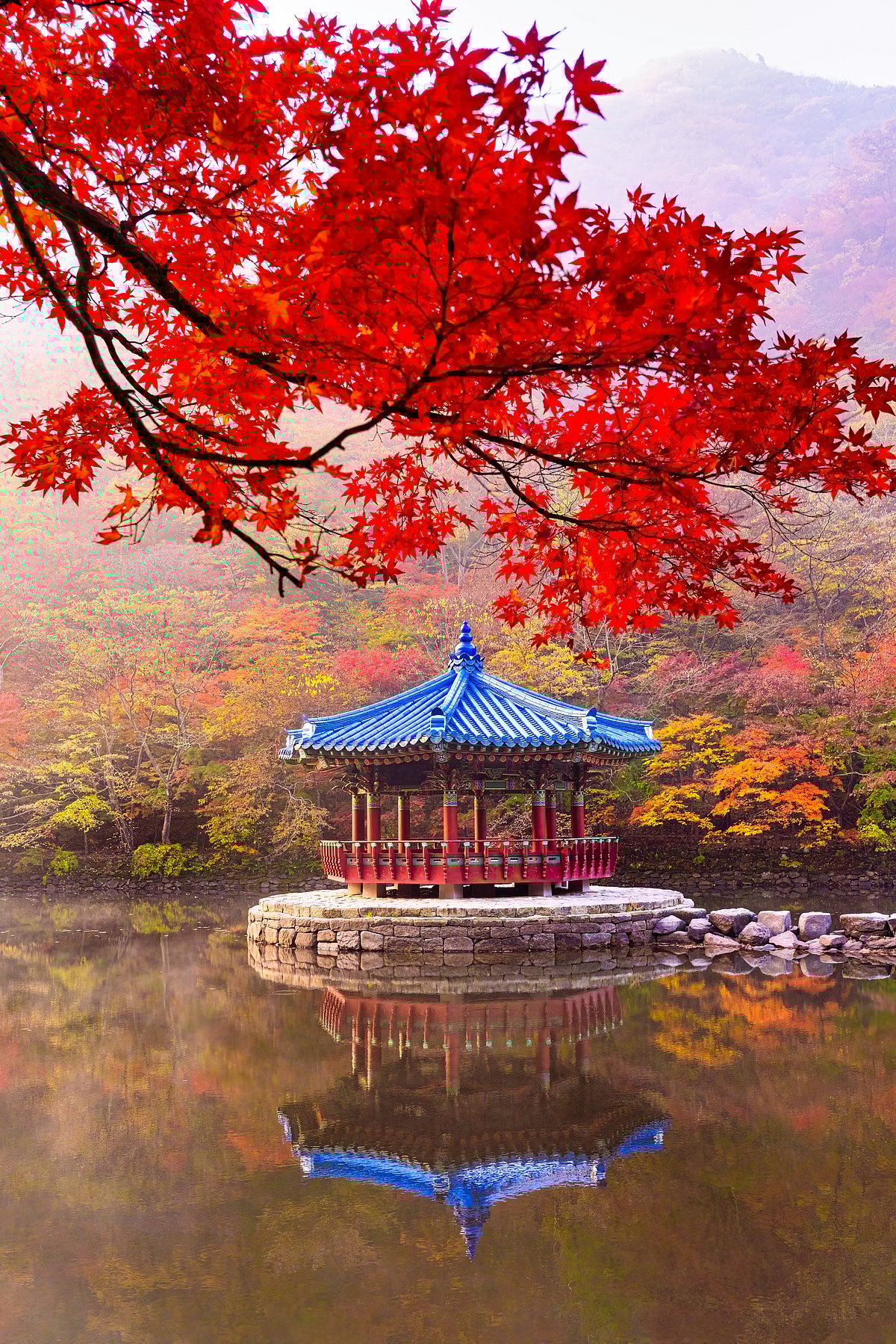 Shutterstock : Autumn scene of Naejangsan National Park in South Korea.