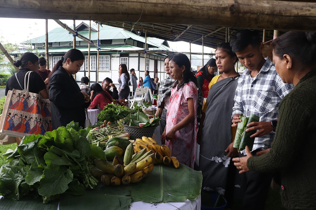Visitors browse through local produce at a farmers market