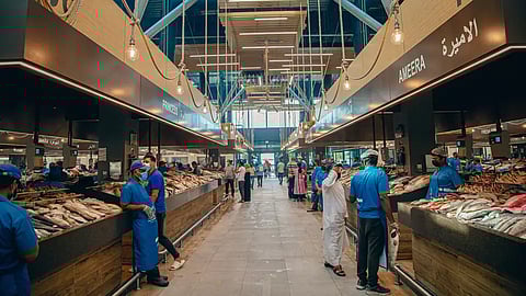 The Mina Zayed Port Market has an array of freshly caught seafood which can be bought and enjoyed at the place itself