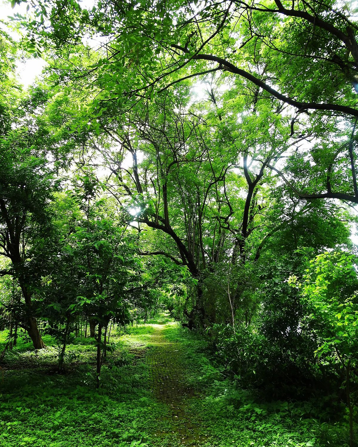 Nature lovers are invited to show up at the Maharashtra Nature Park to study its rich biodiversity